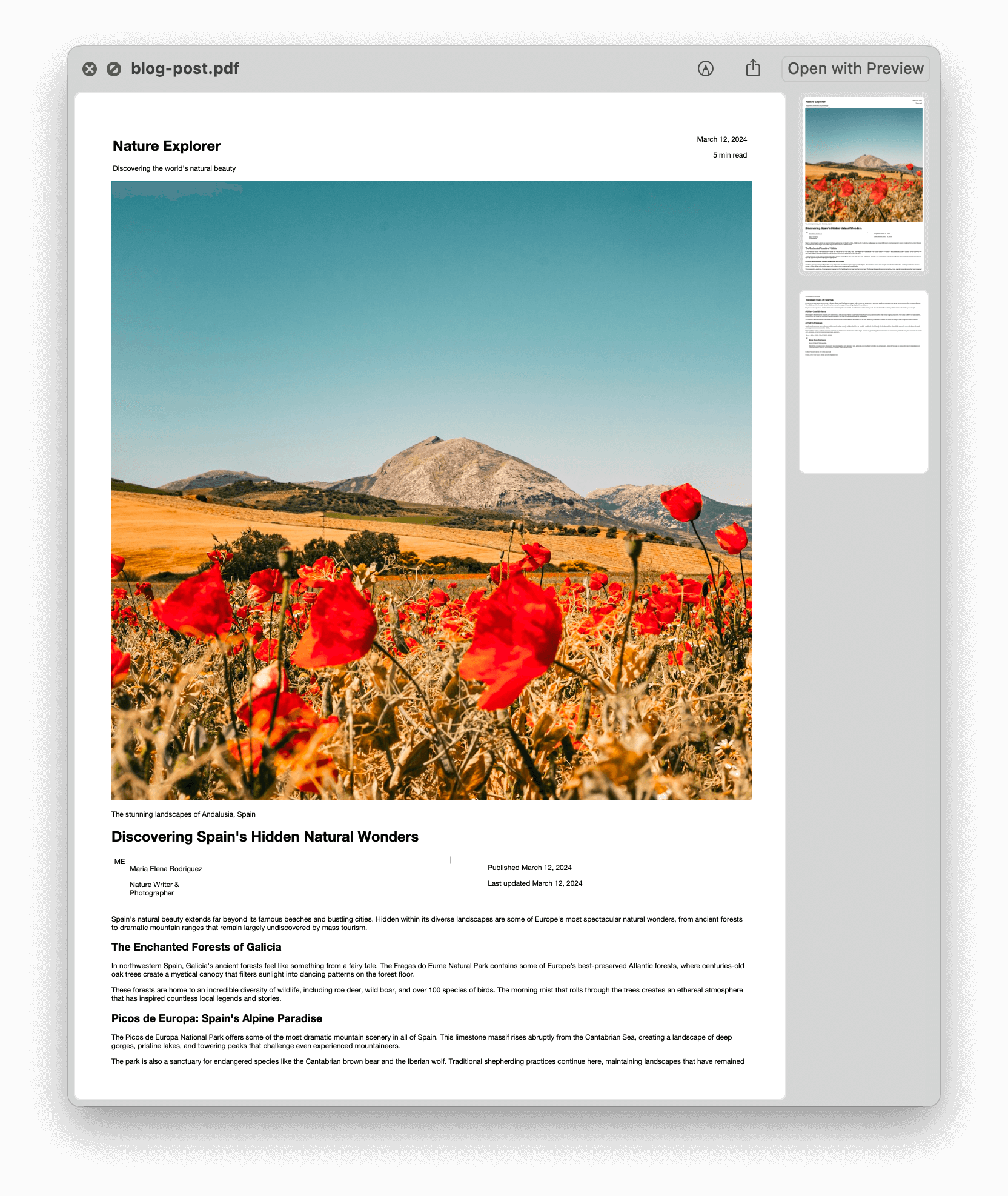 Blog post PDF preview