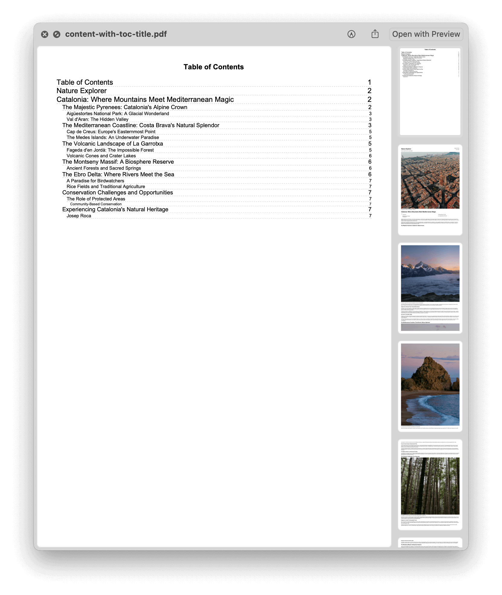 TOC with custom title PDF preview