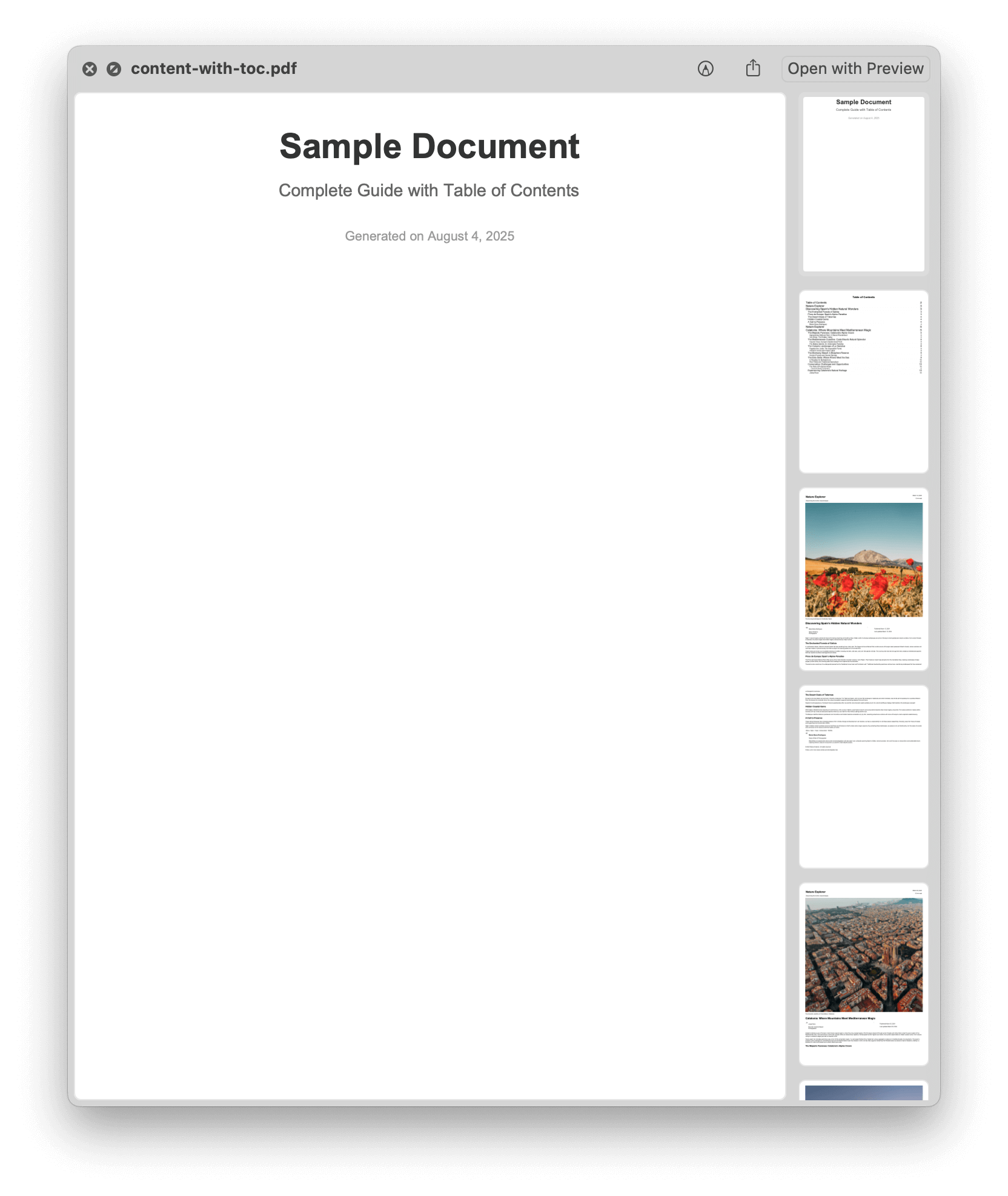 Document with cover and TOC PDF preview