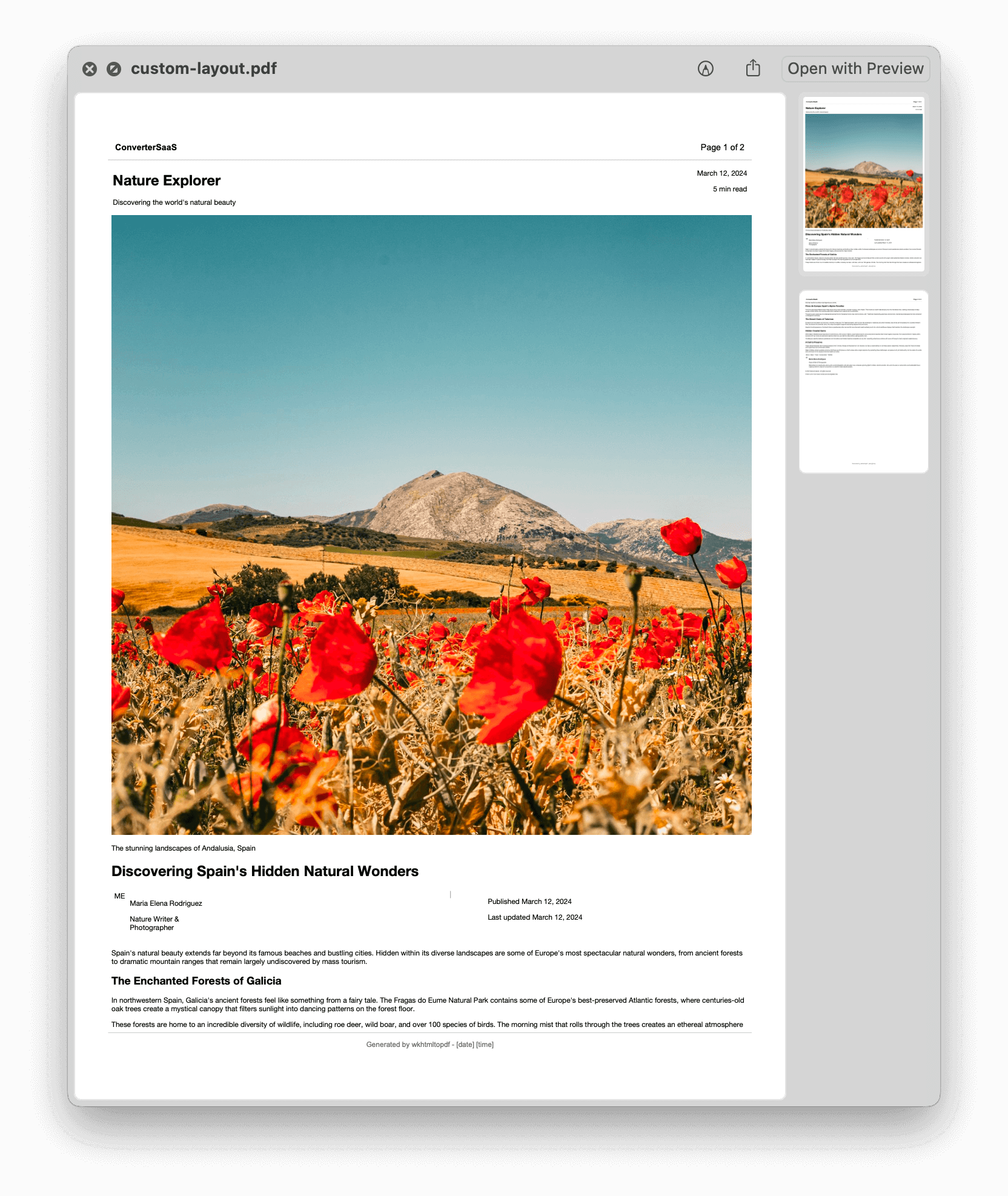 Custom layout PDF preview
