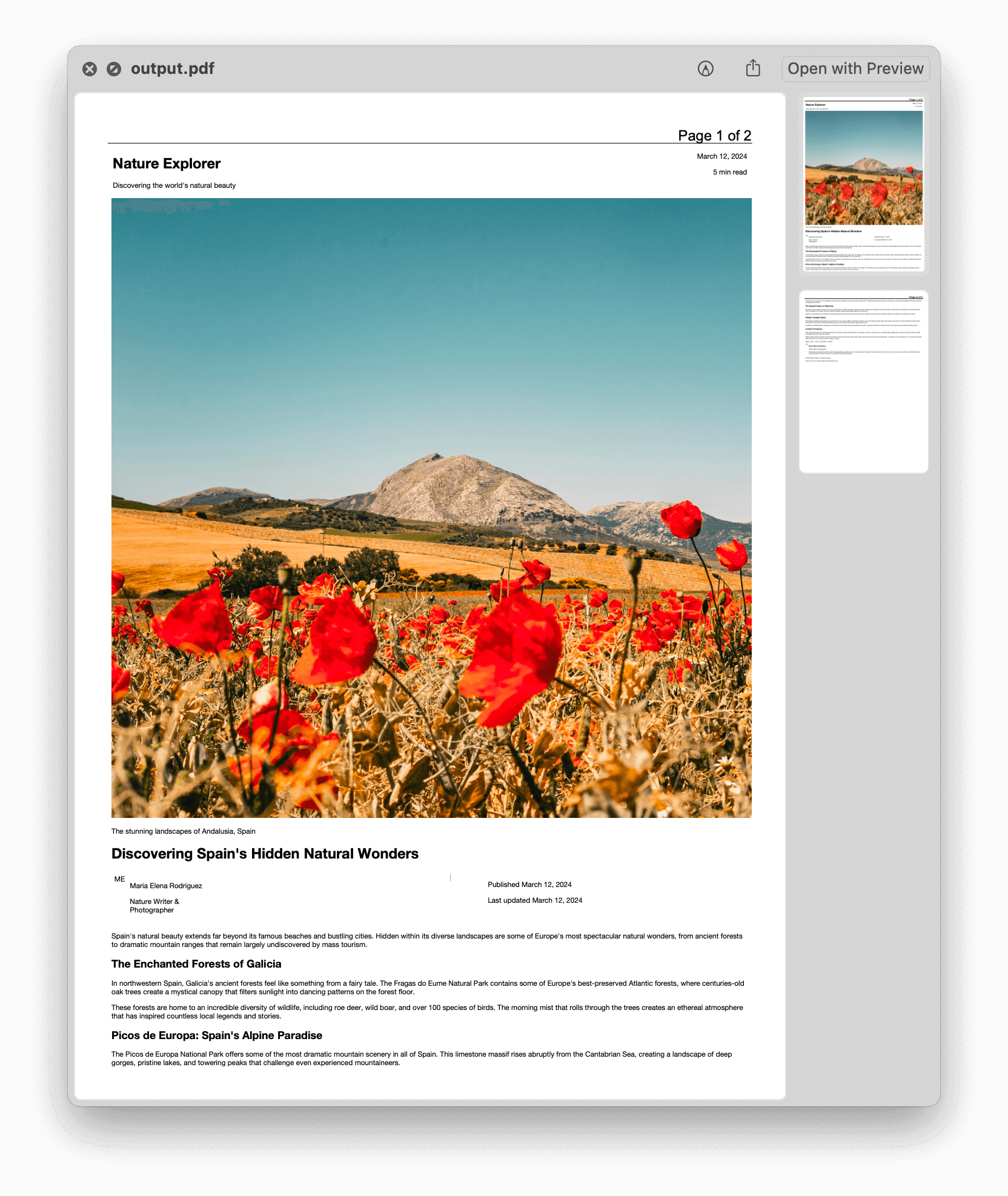 PDF with page numbers preview